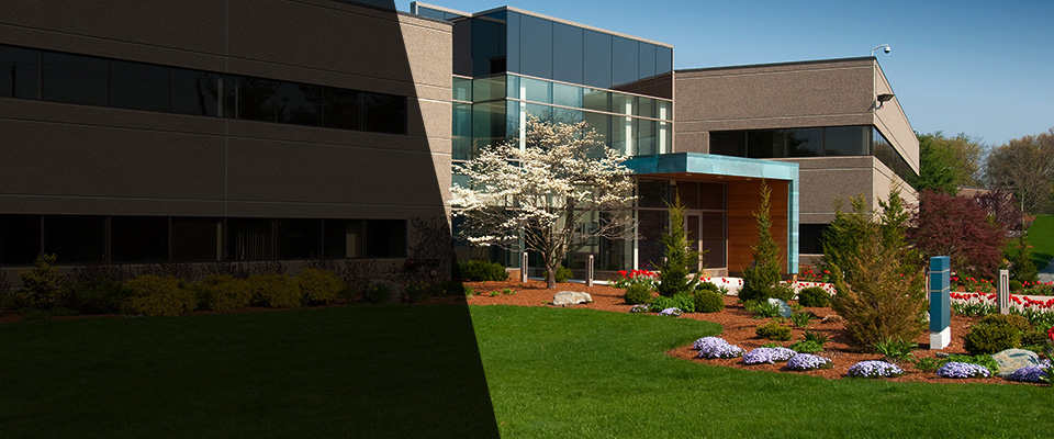 Williston Landscapers